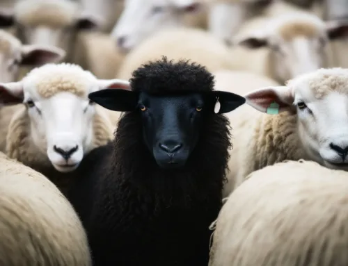Mateo 7:15-20 – Cuidado con los falsos profetas que vienen vestidos de ovejas